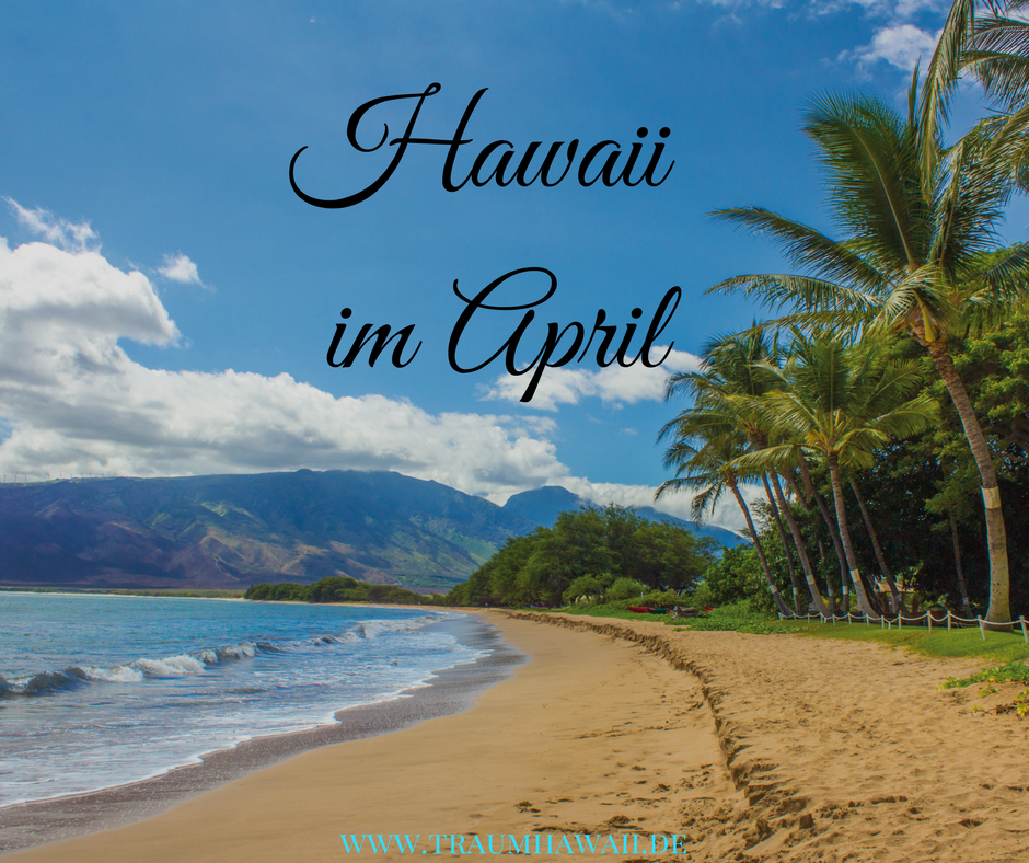 Hawaii im April Was erwartet Dich beim Frühlingserwachen? TraumHawaii