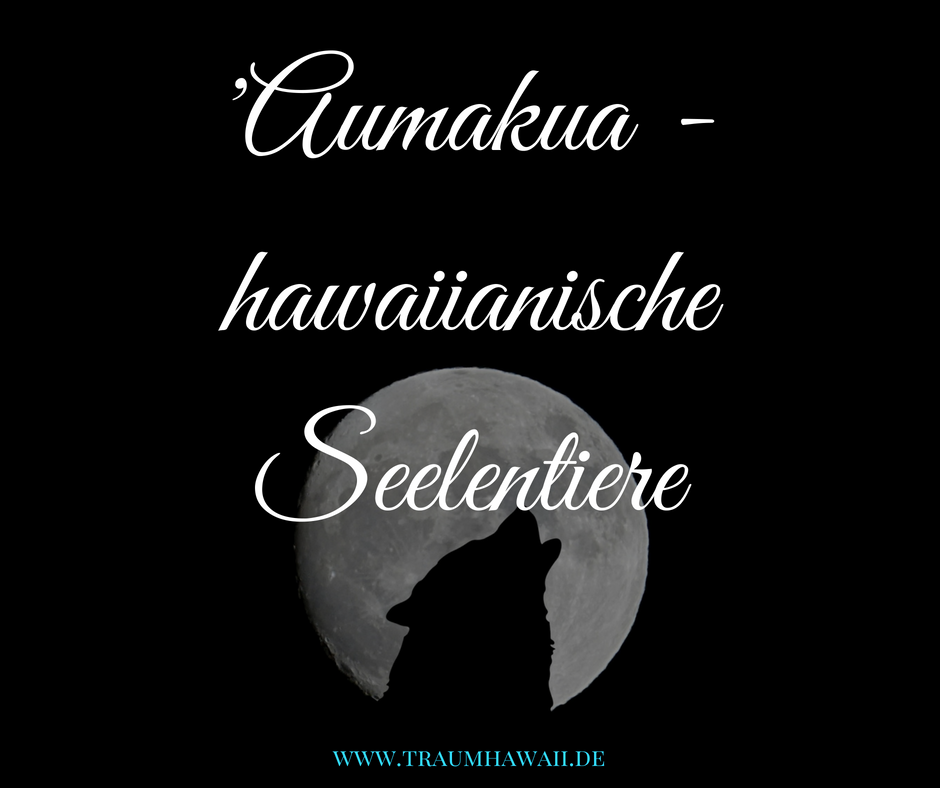 Aumakua Seelentiere In Der Hawaiianische Mythologie Und Ihre Bedeutung Traumhawaii